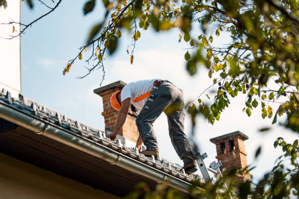 Best Commercial Roofing Services  in St Paris, OH