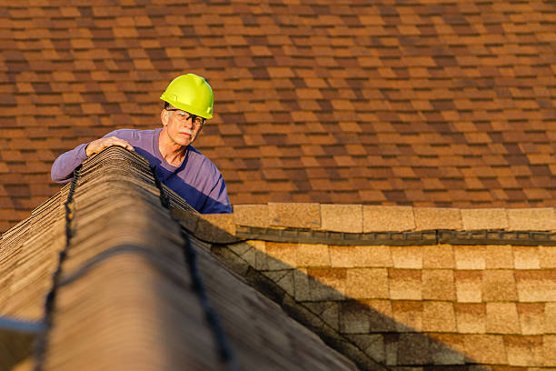Best Roof Gutter Cleaning  in St Paris, OH