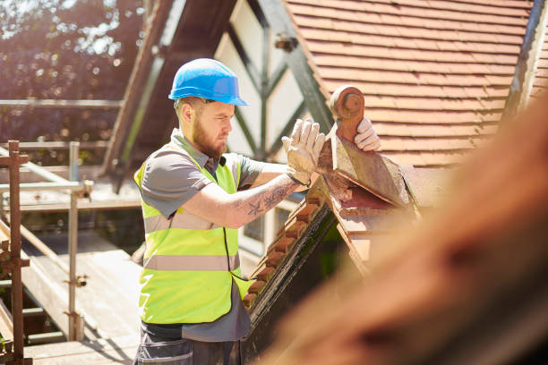 Best Roof Gutter Cleaning  in St Paris, OH
