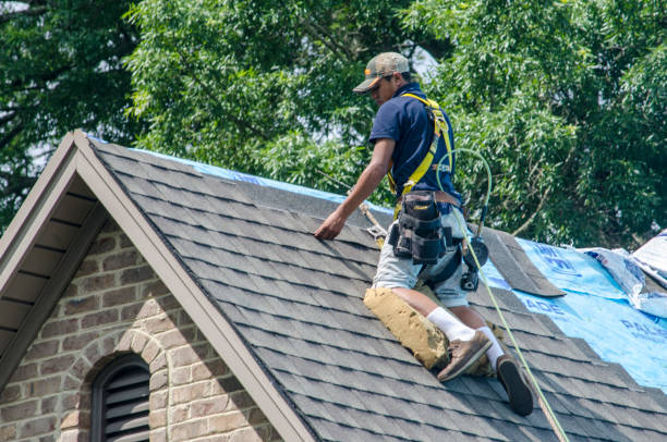 Best Affordable Roofing Company  in St Paris, OH